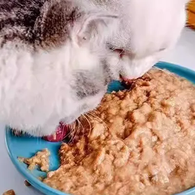 Máquinas de envasado y ensacado de alimentos para mascotas